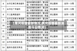 【黑河疫情最新情况,黑河疫情最新消息今日情况】