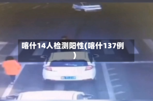 喀什14人检测阳性(喀什137例)