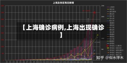 【上海确诊病例,上海出现确诊】-第2张图片